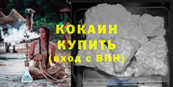 ГАЛЛЮЦИНОГЕННЫЕ ГРИБЫ Абаза
