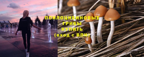 ешки Няндома