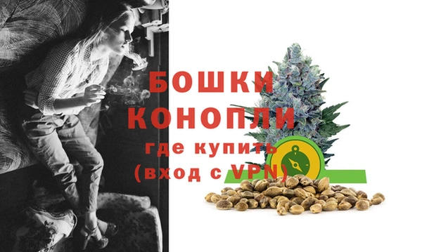прущие крисы Болохово