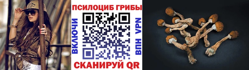 Псилоцибиновые грибы Magic Shrooms  сколько стоит  Тында 